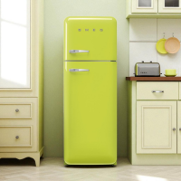 Холодильник SMEG FAB 30 RLI5 (лаймовий)