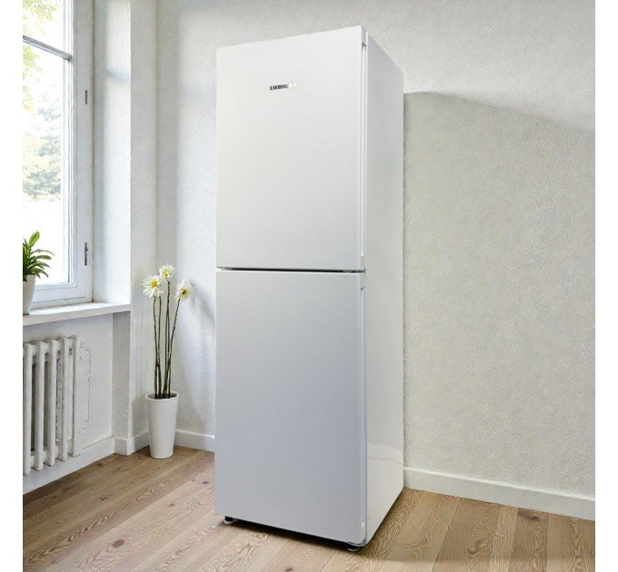 Двокамерний холодильник Liebherr CN 4213